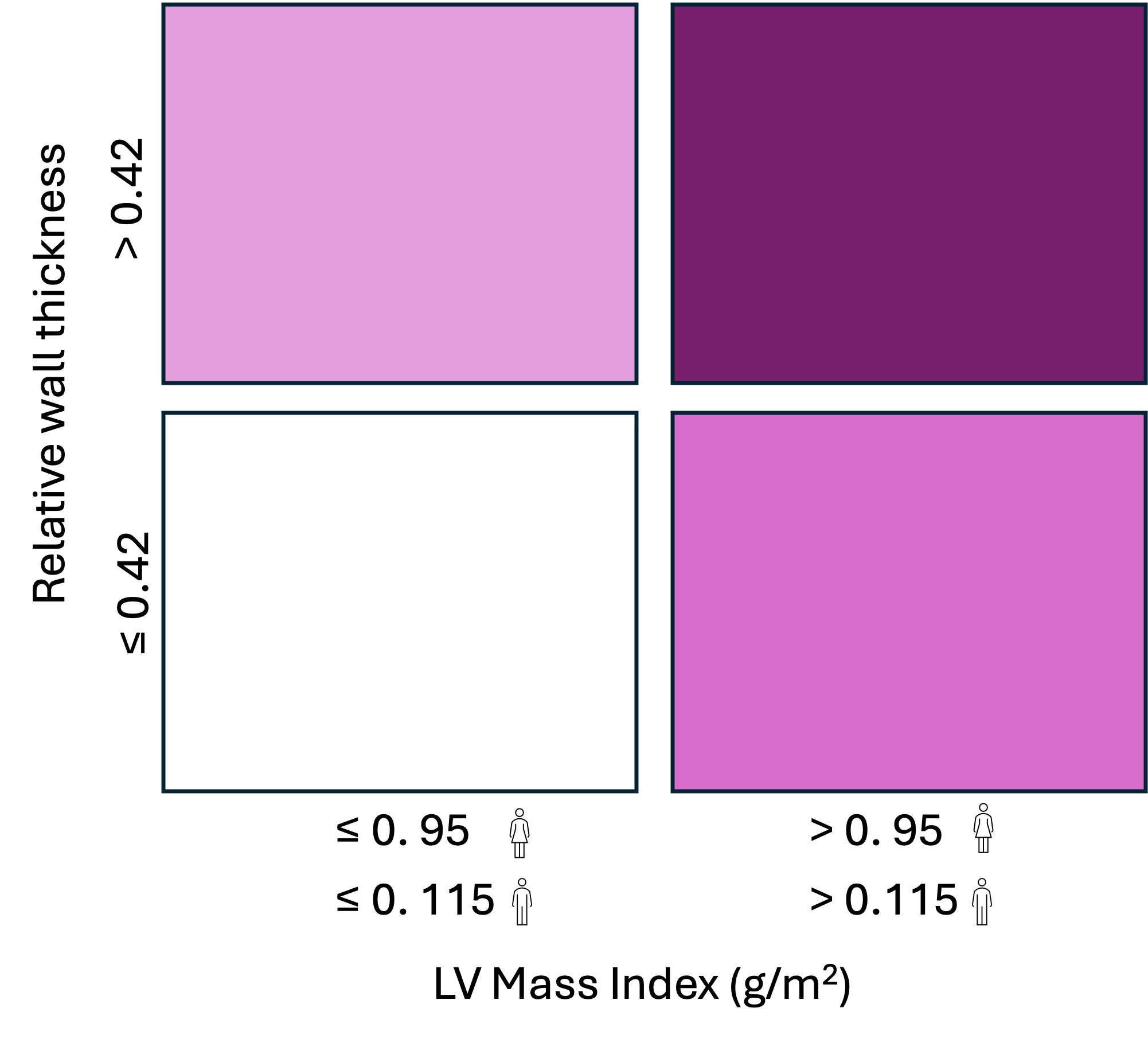 Left Ventricular Chamber Quantification – Echocardiography