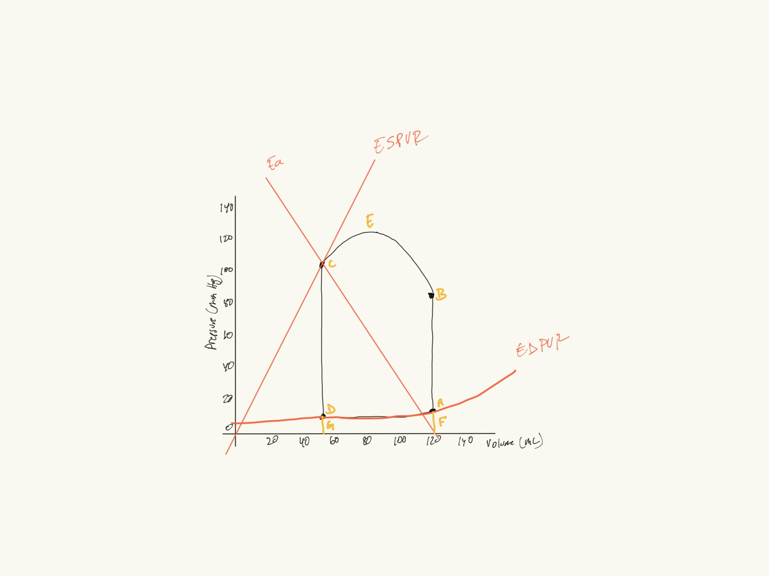 Pressure Volume Loops